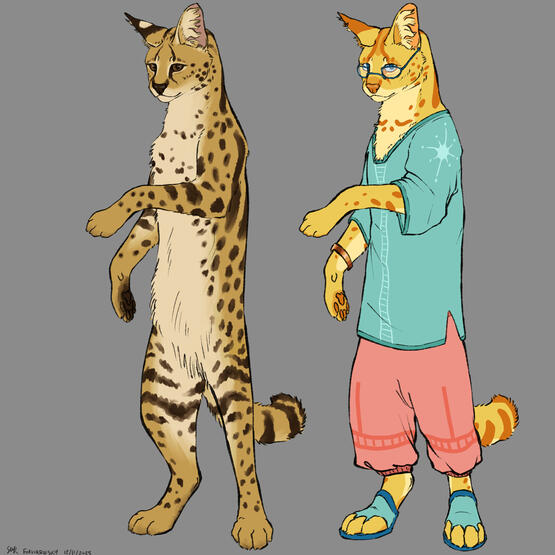 Digital - Clip Studio Paint